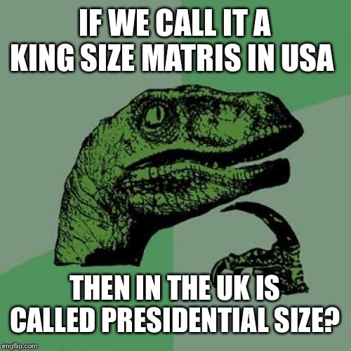 Philosoraptor Meme | IF WE CALL IT A KING SIZE MATRIS IN USA; THEN IN THE UK IS CALLED PRESIDENTIAL SIZE? | image tagged in memes,philosoraptor | made w/ Imgflip meme maker