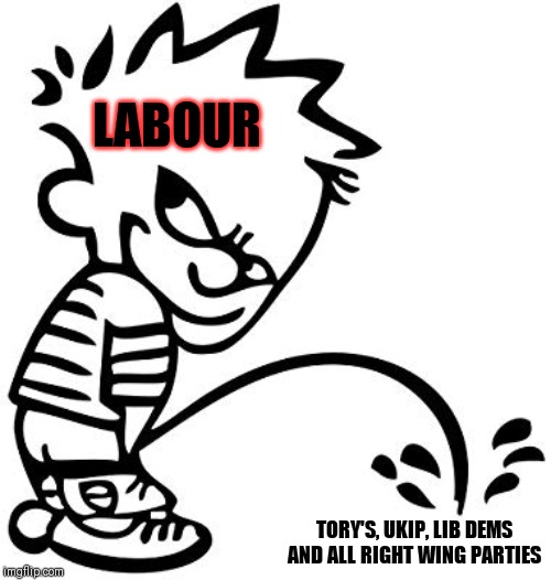 For any Tory haters | LABOUR; TORY'S, UKIP, LIB DEMS AND ALL RIGHT WING PARTIES | image tagged in weeing boy,memes,political meme | made w/ Imgflip meme maker