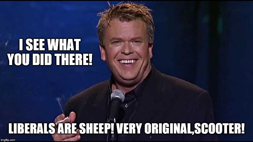 Ron White | I SEE WHAT YOU DID THERE! LIBERALS ARE SHEEP! VERY ORIGINAL,SCOOTER! | image tagged in ron white | made w/ Imgflip meme maker