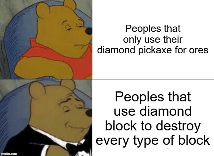 Tuxedo Winnie The Pooh | Peoples that only use their diamond pickaxe for ores; Peoples that use diamond block to destroy every type of block | image tagged in memes,tuxedo winnie the pooh | made w/ Imgflip meme maker