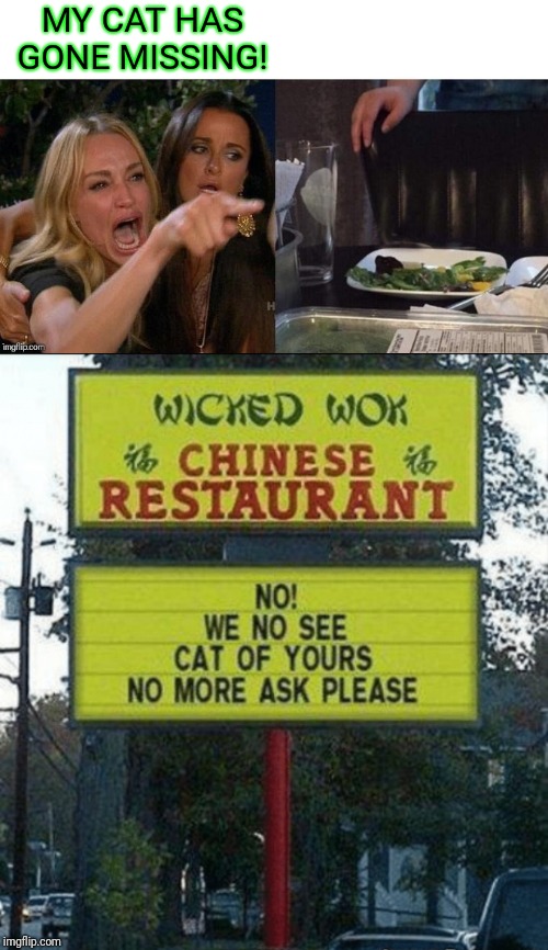 She had the "chicken" on a stick | MY CAT HAS GONE MISSING! | image tagged in memes,woman yelling at cat,44colt,chinese food,funny signs,pets | made w/ Imgflip meme maker