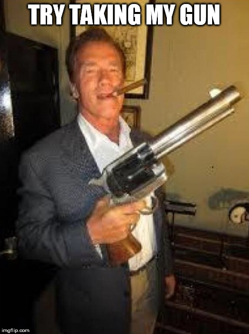 My hand cannon says no you will not. | TRY TAKING MY GUN | image tagged in arnold gun control | made w/ Imgflip meme maker