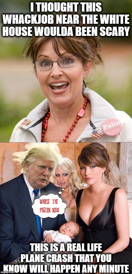 Something aint right | I THOUGHT THIS WHACKJOB NEAR THE WHITE HOUSE WOULDA BEEN SCARY; THIS IS A REAL LIFE PLANE CRASH THAT YOU KNOW WILL HAPPEN ANY MINUTE | image tagged in sarah palin,impeach trump,maga,politics,memes | made w/ Imgflip meme maker