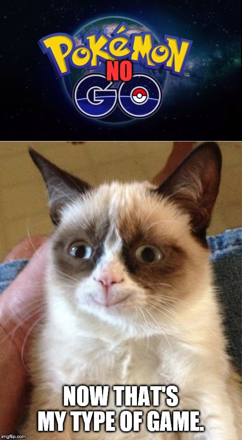 NO; NOW THAT'S MY TYPE OF GAME. | image tagged in memes,grumpy cat happy,pokemon go | made w/ Imgflip meme maker
