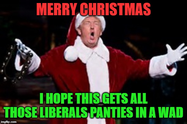 merry christmas | MERRY CHRISTMAS; I HOPE THIS GETS ALL THOSE LIBERALS PANTIES IN A WAD | image tagged in trump santa claus,merry christmas,president trump,liberal,big girl panties | made w/ Imgflip meme maker