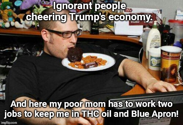 Economics-savvy Trump hater | Ignorant people cheering Trump's economy. And here my poor mom has to work two jobs to keep me in THC oil and Blue Apron! | image tagged in liberal comment troll,angry liberal,snowflake,trump,economy | made w/ Imgflip meme maker