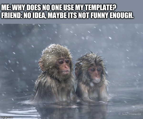monkeys | ME: WHY DOES NO ONE USE MY TEMPLATE?
FRIEND: NO IDEA, MAYBE ITS NOT FUNNY ENOUGH. | image tagged in monkeys | made w/ Imgflip meme maker