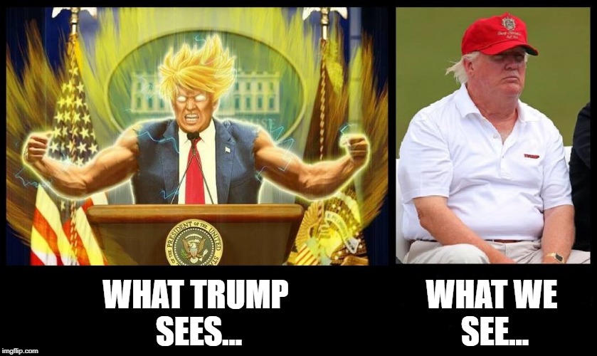 Image vs Reality | WHAT TRUMP 
SEES... WHAT WE 
SEE... | image tagged in image vs reality | made w/ Imgflip meme maker