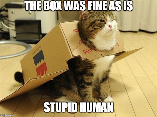 SUPER CAT | THE BOX WAS FINE AS IS; STUPID HUMAN | image tagged in cats,funny cats | made w/ Imgflip meme maker
