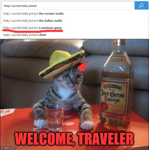 Ememeon welcomes you to the Mexican Gang. | WELCOME, TRAVELER | image tagged in drunk cat | made w/ Imgflip meme maker