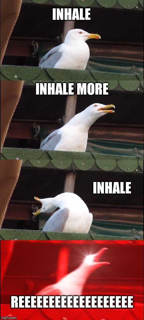 Inhaling Seagull Meme | INHALE; INHALE MORE; INHALE; REEEEEEEEEEEEEEEEEEE | image tagged in memes,inhaling seagull | made w/ Imgflip meme maker