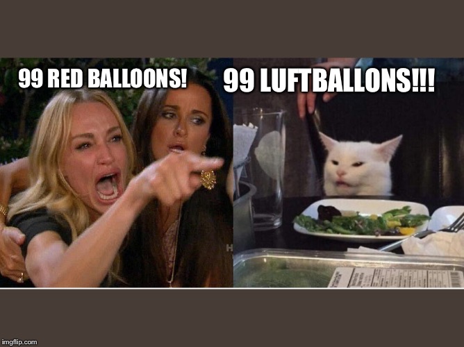 salad cat | 99 LUFTBALLONS!!! 99 RED BALLOONS! | image tagged in salad cat | made w/ Imgflip meme maker