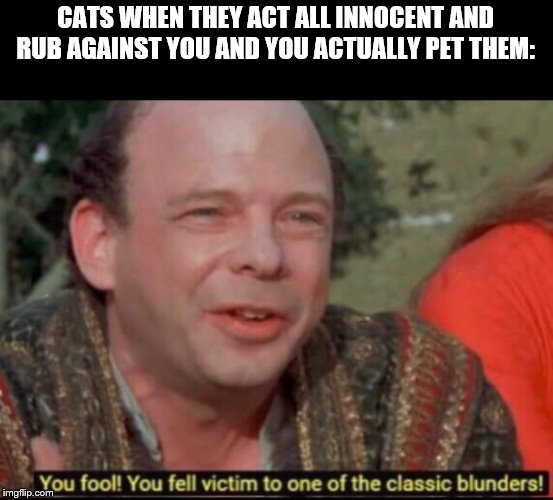 Cat: Please pet me, hooman.
Me: -pets cat-
Cat: PREPARE TO DIE | CATS WHEN THEY ACT ALL INNOCENT AND RUB AGAINST YOU AND YOU ACTUALLY PET THEM: | image tagged in you fool you fell victim to one of the classic blunders | made w/ Imgflip meme maker