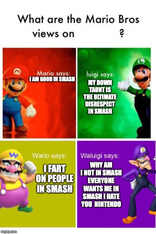 Mario Broz. Misc Views. | MY DOWN TAUNT IS THE ULTIMATE DISRESPECT IN SMASH; I AM GOOD IN SMASH; WHY AM I NOT IN SMASH EVERYONE WANTS ME IN SMASH I HATE YOU  NINTENDO; I FART ON PEOPLE IN SMASH | image tagged in mario broz misc views | made w/ Imgflip meme maker