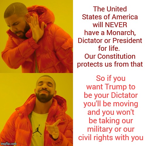 That's True | The United States of America will NEVER have a Monarch, Dictator or President for life.  Our Constitution protects us from that; So if you want Trump to be your Dictator you'll be moving and you won't be taking our military or our civil rights with you | image tagged in memes,drake hotline bling,trump unfit unqualified dangerous,impeach trump,liar in chief,lock him up | made w/ Imgflip meme maker