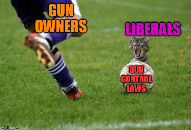 The democrats should be careful pushing gun laws, we will boot you out of office. | GUN OWNERS; LIBERALS; GUN CONTROL LAWS | image tagged in i'm screwed,gun control | made w/ Imgflip meme maker