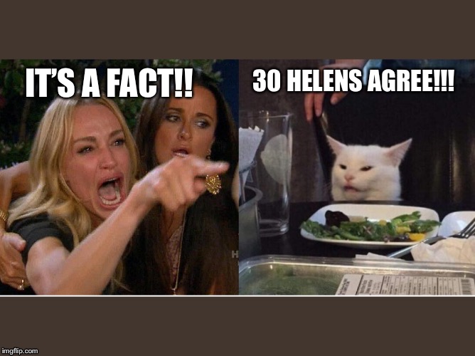 salad cat | 30 HELENS AGREE!!! IT’S A FACT!! | image tagged in salad cat | made w/ Imgflip meme maker