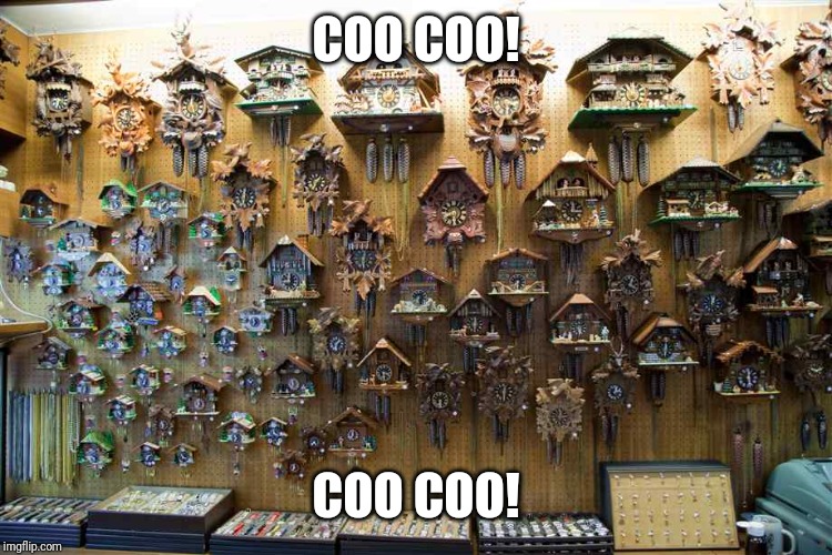 Coo coo clocks | COO COO! COO COO! | image tagged in coo coo clocks | made w/ Imgflip meme maker