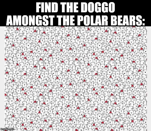 FIND THE DOGGO AMONGST THE POLAR BEARS: | made w/ Imgflip meme maker