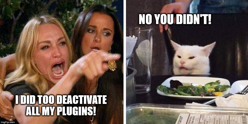 Smudge the cat | NO YOU DIDN'T! I DID TOO DEACTIVATE ALL MY PLUGINS! | image tagged in smudge the cat | made w/ Imgflip meme maker
