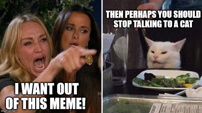 Cat Logic | THEN PERHAPS YOU SHOULD
STOP TALKING TO A CAT; I WANT OUT OF THIS MEME! | image tagged in angry lady cat | made w/ Imgflip meme maker