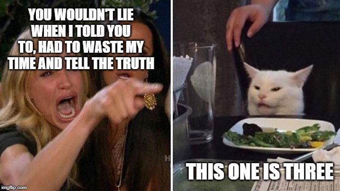 Angry lady cat | YOU WOULDN'T LIE WHEN I TOLD YOU TO, HAD TO WASTE MY TIME AND TELL THE TRUTH; THIS ONE IS THREE | image tagged in angry lady cat | made w/ Imgflip meme maker