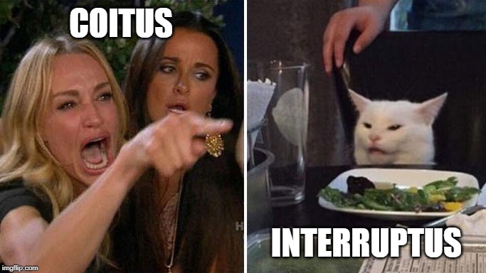 Angry lady cat | COITUS; INTERRUPTUS | image tagged in angry lady cat | made w/ Imgflip meme maker