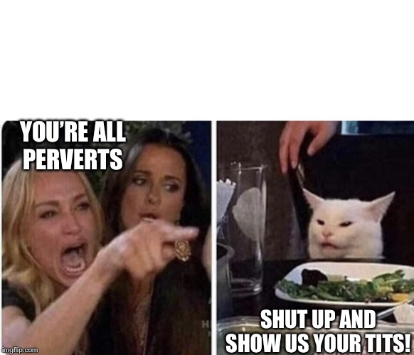 Angry Woman and Cat | YOU’RE ALL
PERVERTS; SHUT UP AND
SHOW US YOUR TITS! | image tagged in angry woman and cat | made w/ Imgflip meme maker