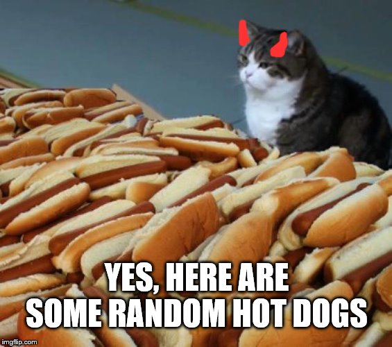 Hot dog cat | YES, HERE ARE SOME RANDOM HOT DOGS | image tagged in hot dog cat | made w/ Imgflip meme maker