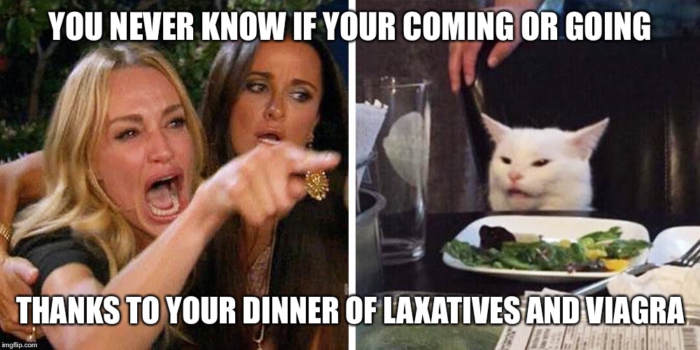 Smudge the cat | YOU NEVER KNOW IF YOUR COMING OR GOING; THANKS TO YOUR DINNER OF LAXATIVES AND VIAGRA | image tagged in smudge the cat | made w/ Imgflip meme maker