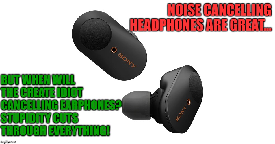Noise Cancelling Earphones | NOISE CANCELLING HEADPHONES ARE GREAT... BUT WHEN WILL THE CREATE IDIOT CANCELLING EARPHONES? STUPIDITY CUTS THROUGH EVERYTHING! | image tagged in earphones,stupidity | made w/ Imgflip meme maker