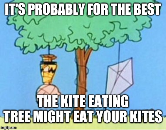 charlie brown kite eating tree | IT'S PROBABLY FOR THE BEST THE KITE EATING TREE MIGHT EAT YOUR KITES | image tagged in charlie brown kite eating tree | made w/ Imgflip meme maker