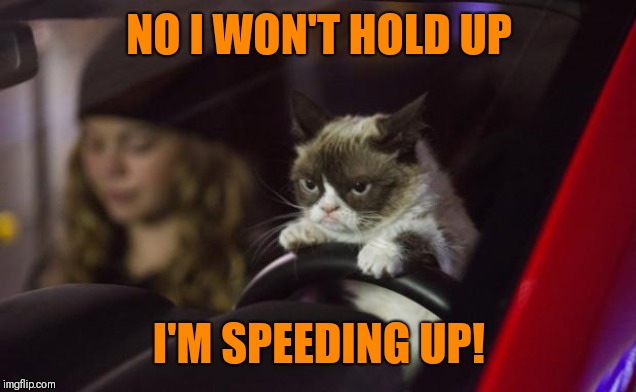 Grumpy Cat Driving | NO I WON'T HOLD UP I'M SPEEDING UP! | image tagged in grumpy cat driving | made w/ Imgflip meme maker