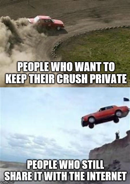 wow just wow | PEOPLE WHO WANT TO KEEP THEIR CRUSH PRIVATE; PEOPLE WHO STILL SHARE IT WITH THE INTERNET | image tagged in crush,cliff,private | made w/ Imgflip meme maker