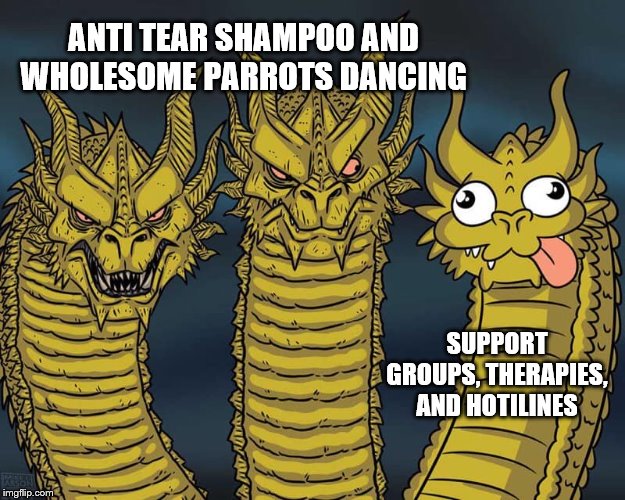 Three dragons | ANTI TEAR SHAMPOO AND WHOLESOME PARROTS DANCING; SUPPORT GROUPS, THERAPIES, AND HOTILINES | image tagged in three dragons | made w/ Imgflip meme maker