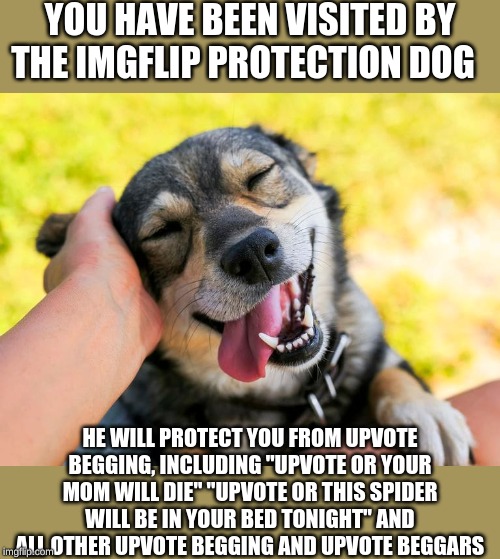 to please the imgflip protection dog, downvote some upvote beggars | YOU HAVE BEEN VISITED BY THE IMGFLIP PROTECTION DOG; HE WILL PROTECT YOU FROM UPVOTE BEGGING, INCLUDING "UPVOTE OR YOUR MOM WILL DIE" "UPVOTE OR THIS SPIDER WILL BE IN YOUR BED TONIGHT" AND ALL OTHER UPVOTE BEGGING AND UPVOTE BEGGARS | image tagged in memes,dog,upvote begging,imgflip,protection | made w/ Imgflip meme maker