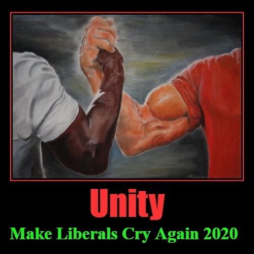 The #1 thing liberals don't want to see... | Make Liberals Cry Again 2020 | image tagged in liberty and justice for all,unity,make liberals cry again 2020,trump 2020,no more race baiting,freedom in murica | made w/ Imgflip meme maker