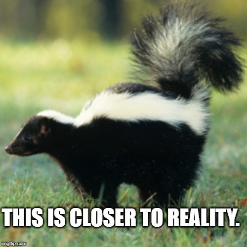 Skunk | THIS IS CLOSER TO REALITY. | image tagged in skunk | made w/ Imgflip meme maker