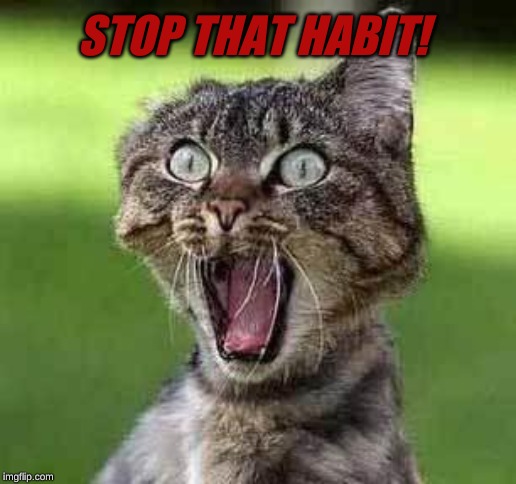 Screaming cat | STOP THAT HABIT! | image tagged in screaming cat | made w/ Imgflip meme maker
