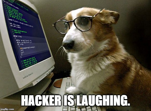 corgi hacker | HACKER IS LAUGHING. | image tagged in corgi hacker | made w/ Imgflip meme maker