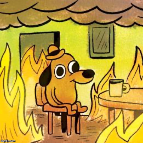 Dog in burning house | image tagged in dog in burning house | made w/ Imgflip meme maker