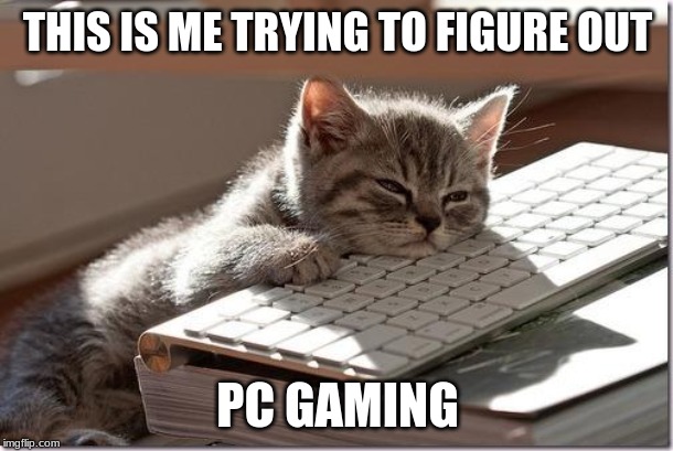 Bored Keyboard Cat | THIS IS ME TRYING TO FIGURE OUT PC GAMING | image tagged in bored keyboard cat | made w/ Imgflip meme maker