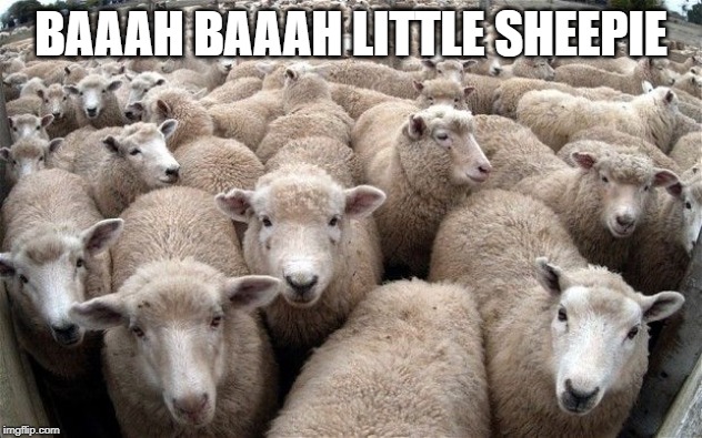 sheeple | BAAAH BAAAH LITTLE SHEEPIE | image tagged in sheeple | made w/ Imgflip meme maker