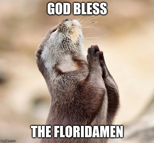 GOD BLESS THE FLORIDAMEN | image tagged in animal praying | made w/ Imgflip meme maker