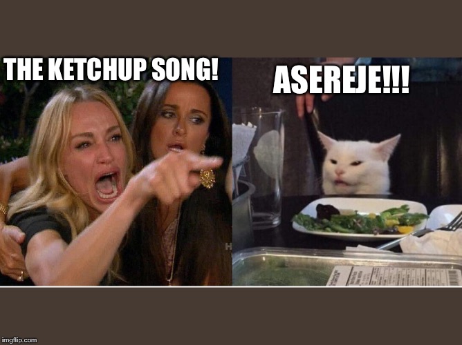 salad cat | ASEREJE!!! THE KETCHUP SONG! | image tagged in salad cat | made w/ Imgflip meme maker
