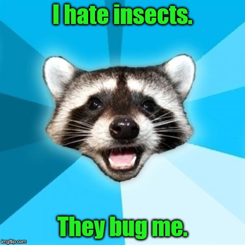 Lame Pun Coon | I hate insects. They bug me. | image tagged in memes,lame pun coon | made w/ Imgflip meme maker
