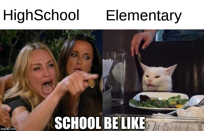 Woman Yelling At Cat Meme | HighSchool Elementary SCHOOL BE LIKE | image tagged in memes,woman yelling at cat | made w/ Imgflip meme maker