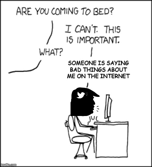 DOODIE CALLS... | SOMEONE IS SAYING BAD THINGS ABOUT ME ON THE INTERNET | image tagged in twitter,trump twitter,xkcd,meme parody | made w/ Imgflip meme maker