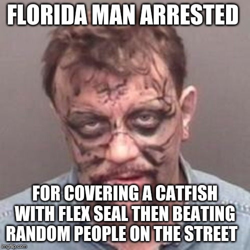 florida man | FLORIDA MAN ARRESTED; FOR COVERING A CATFISH WITH FLEX SEAL THEN BEATING RANDOM PEOPLE ON THE STREET | image tagged in florida man | made w/ Imgflip meme maker