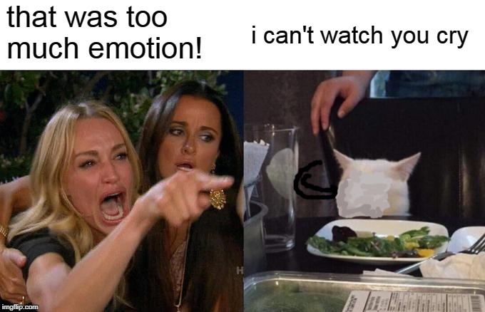 Woman Yelling At Cat Meme | that was too much emotion! i can't watch you cry | image tagged in memes,woman yelling at cat | made w/ Imgflip meme maker